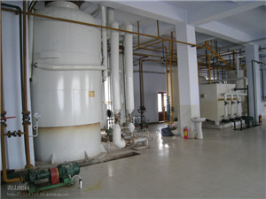 palm kernel oil processing machines in nigeria