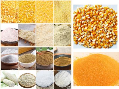 Maize/corn multiple product processing technology