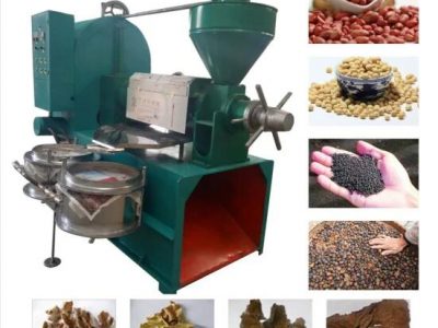 Reasonable Price Mini Sunflower Seed Soybean Peanut Oil Press Machine